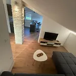 Tima * Pula